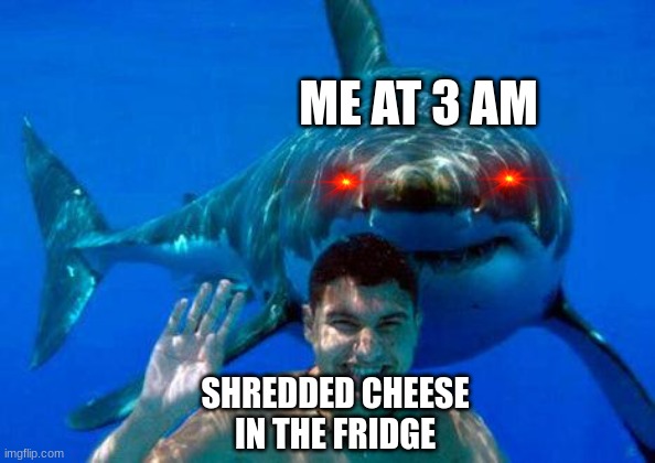 me vs cheese | ME AT 3 AM; SHREDDED CHEESE IN THE FRIDGE | image tagged in shark | made w/ Imgflip meme maker