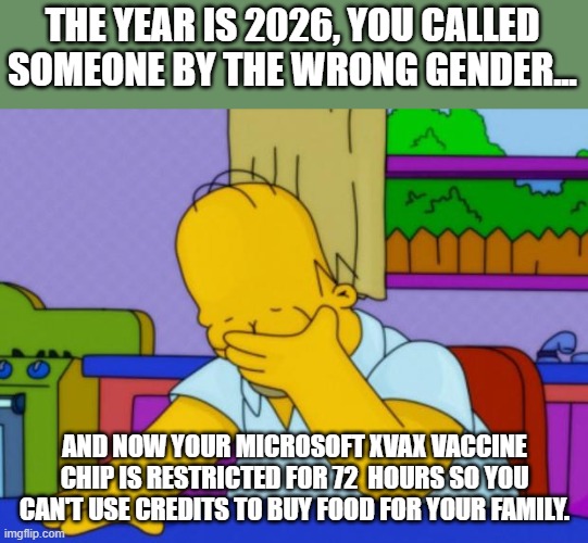 Homer Simpson | THE YEAR IS 2026, YOU CALLED SOMEONE BY THE WRONG GENDER... AND NOW YOUR MICROSOFT XVAX VACCINE CHIP IS RESTRICTED FOR 72  HOURS SO YOU CAN'T USE CREDITS TO BUY FOOD FOR YOUR FAMILY. | image tagged in homer simpson,vaccine,microsoft,gender,democrats,family | made w/ Imgflip meme maker