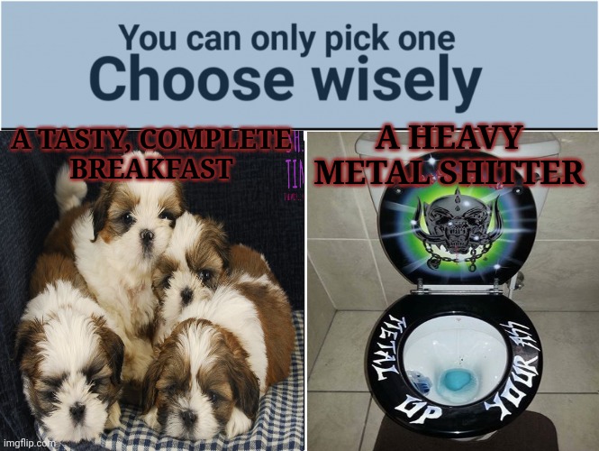 Choose Wisely! | A TASTY, COMPLETE
 BREAKFAST A HEAVY METAL SHITTER | image tagged in tasty,food,plus a heavy,metal,shitter | made w/ Imgflip meme maker