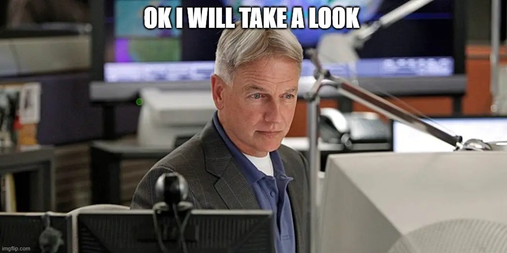 NCIS gibbs | OK I WILL TAKE A LOOK | image tagged in ncis gibbs | made w/ Imgflip meme maker