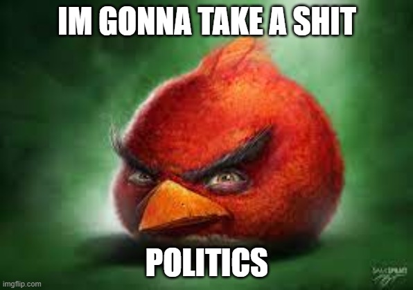 Realistic Red Angry Birds | IM GONNA TAKE A SHIT; POLITICS | image tagged in realistic red angry birds | made w/ Imgflip meme maker
