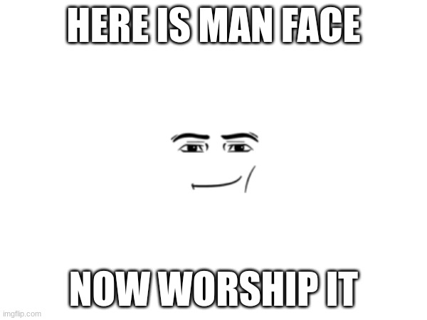 haha yes | HERE IS MAN FACE; NOW WORSHIP IT | image tagged in man face | made w/ Imgflip meme maker