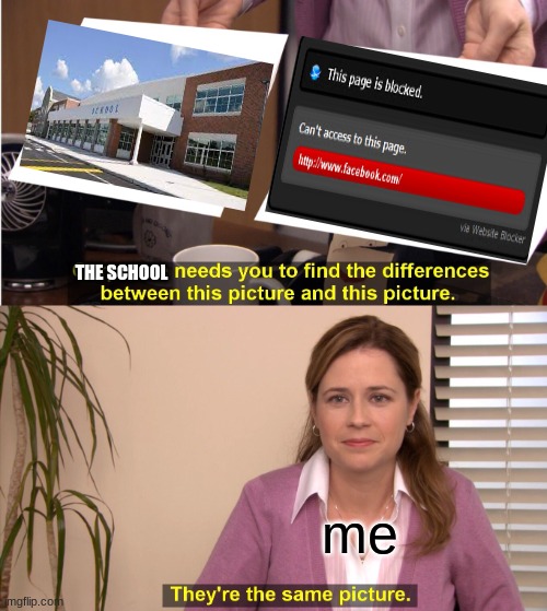 school | THE SCHOOL; me | image tagged in memes,they're the same picture | made w/ Imgflip meme maker