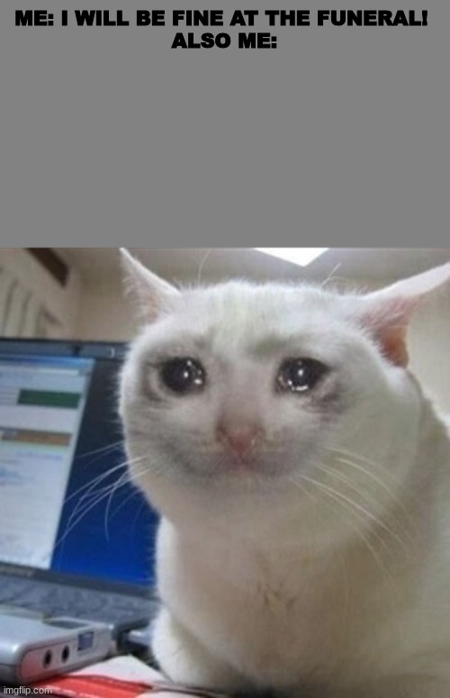 Crying cat | ME: I WILL BE FINE AT THE FUNERAL! 


ALSO ME: | image tagged in crying cat | made w/ Imgflip meme maker