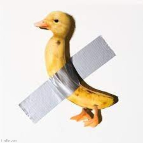 taped ducknana | made w/ Imgflip meme maker