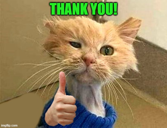 thumb cat | THANK YOU! | image tagged in thumb cat | made w/ Imgflip meme maker