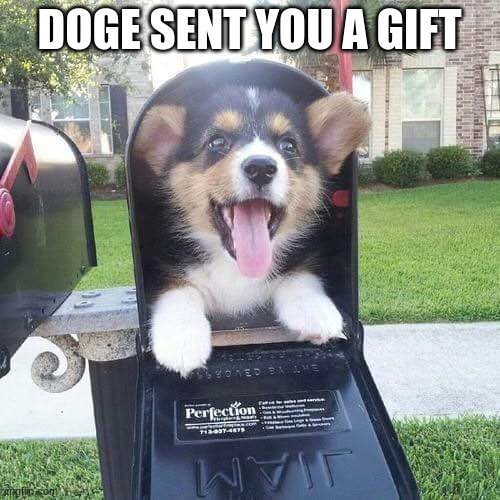 DOGE SENT YOU A GIFT | image tagged in cute doggo in mailbox | made w/ Imgflip meme maker