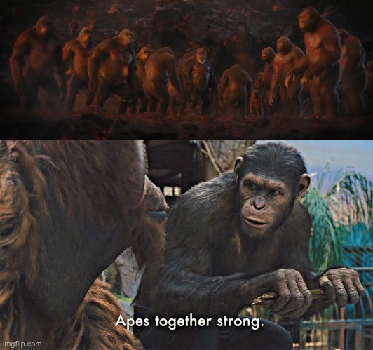 image tagged in ape together strong,king kong,monsterverse,godzilla,kong,2024 | made w/ Imgflip meme maker