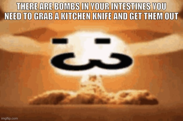 :3 | THERE ARE BOMBS IN YOUR INTESTINES YOU NEED TO GRAB A KITCHEN KNIFE AND GET THEM OUT | image tagged in 3 | made w/ Imgflip meme maker
