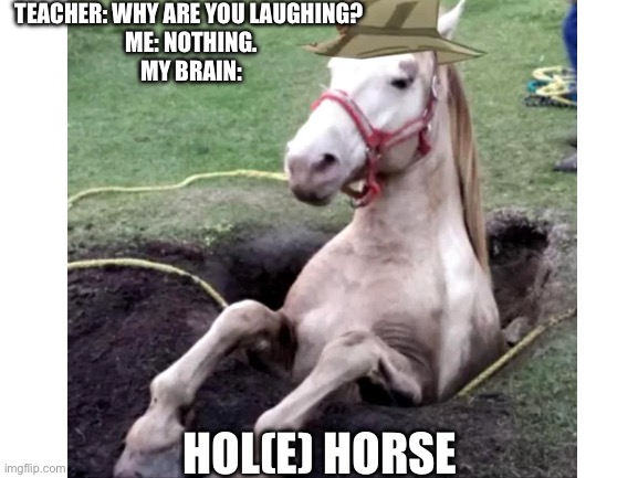 Blank White Template | TEACHER: WHY ARE YOU LAUGHING? 
ME: NOTHING.
MY BRAIN:; HOL(E) HORSE | image tagged in blank white template,repost | made w/ Imgflip meme maker