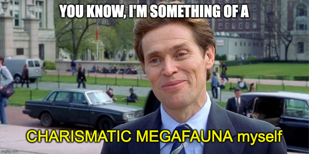 You know, I'm something of a scientist myself | YOU KNOW, I'M SOMETHING OF A; CHARISMATIC MEGAFAUNA myself | image tagged in you know i'm something of a scientist myself | made w/ Imgflip meme maker