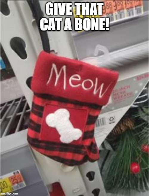Meow | GIVE THAT CAT A BONE! | image tagged in you had one job | made w/ Imgflip meme maker