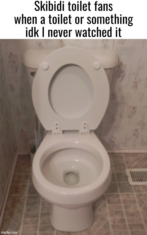 toilet seat up | Skibidi toilet fans when a toilet or something idk I never watched it | image tagged in toilet seat up | made w/ Imgflip meme maker