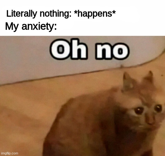 happens to me all the time | My anxiety:; Literally nothing: *happens* | image tagged in memes,funny,cats,anxiety | made w/ Imgflip meme maker