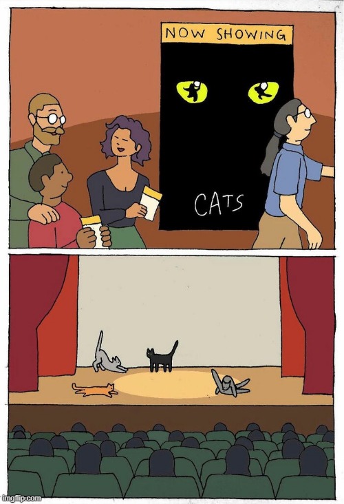 Cats | image tagged in comics | made w/ Imgflip meme maker