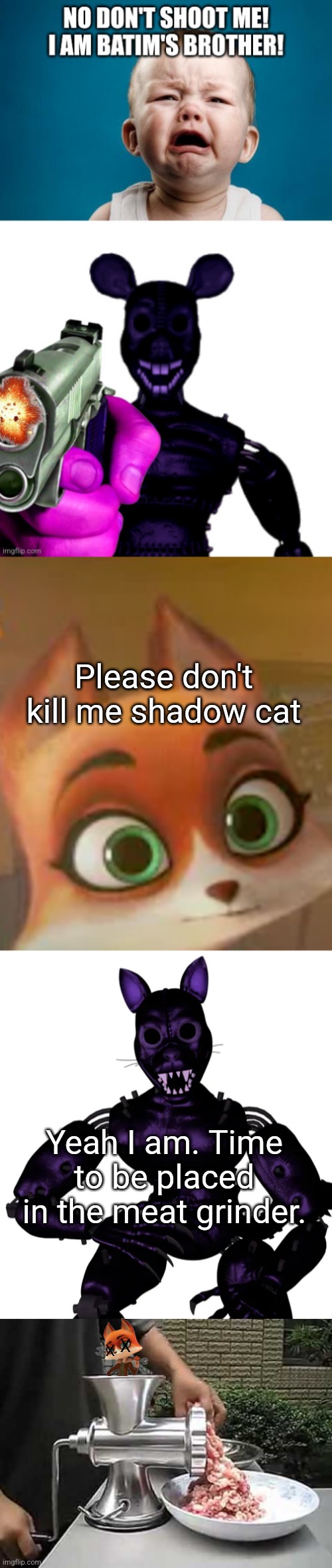Please don't kill me shadow cat; Yeah I am. Time to be placed in the meat grinder. X; X | image tagged in meat grinder | made w/ Imgflip meme maker