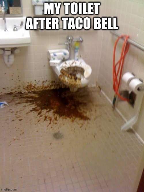 Girls poop too | MY TOILET AFTER TACO BELL | image tagged in girls poop too | made w/ Imgflip meme maker