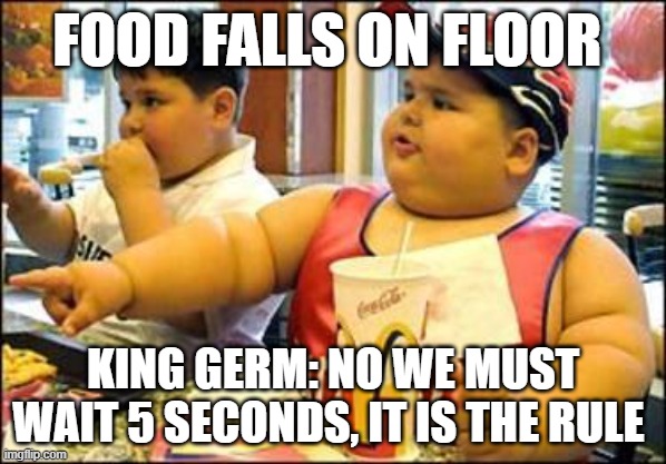 food! | FOOD FALLS ON FLOOR; KING GERM: NO WE MUST WAIT 5 SECONDS, IT IS THE RULE | image tagged in food | made w/ Imgflip meme maker