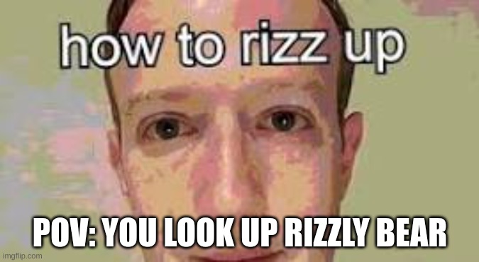 Gay | POV: YOU LOOK UP RIZZLY BEAR | image tagged in trans,gay,fun | made w/ Imgflip meme maker