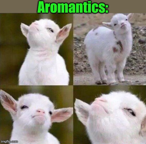 Smug Goat | Aromantics: | image tagged in smug goat | made w/ Imgflip meme maker