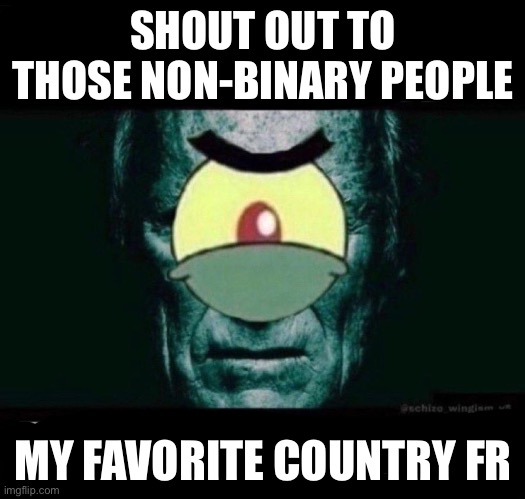 Erm...what the scallop | SHOUT OUT TO THOSE NON-BINARY PEOPLE; MY FAVORITE COUNTRY FR | image tagged in erm what the scallop | made w/ Imgflip meme maker