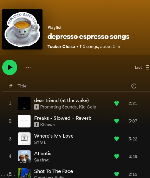 my spotify playlist | image tagged in spotify | made w/ Imgflip meme maker