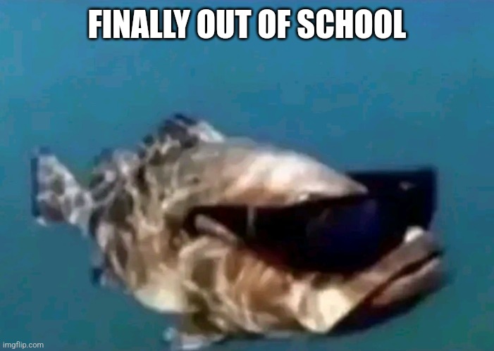Hi | FINALLY OUT OF SCHOOL | image tagged in hi | made w/ Imgflip meme maker