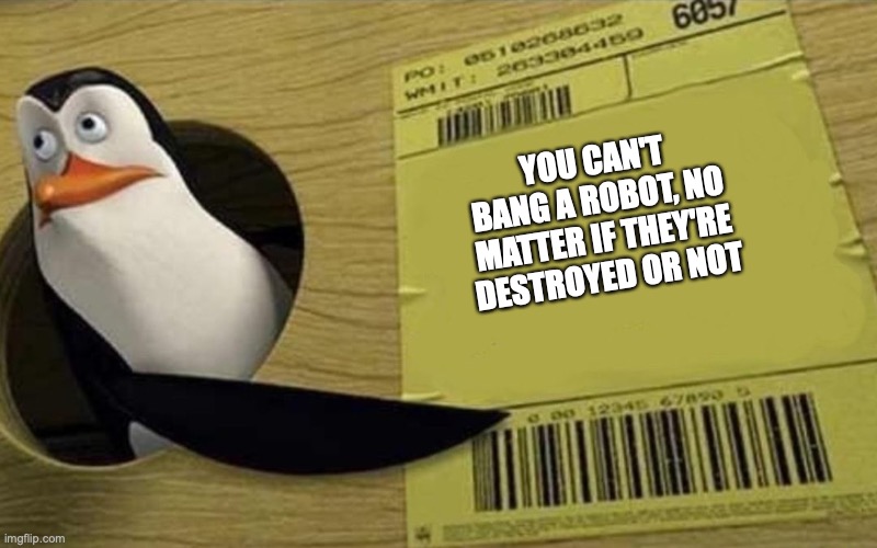 Kowalski | YOU CAN'T BANG A ROBOT, NO MATTER IF THEY'RE DESTROYED OR NOT | image tagged in kowalski | made w/ Imgflip meme maker