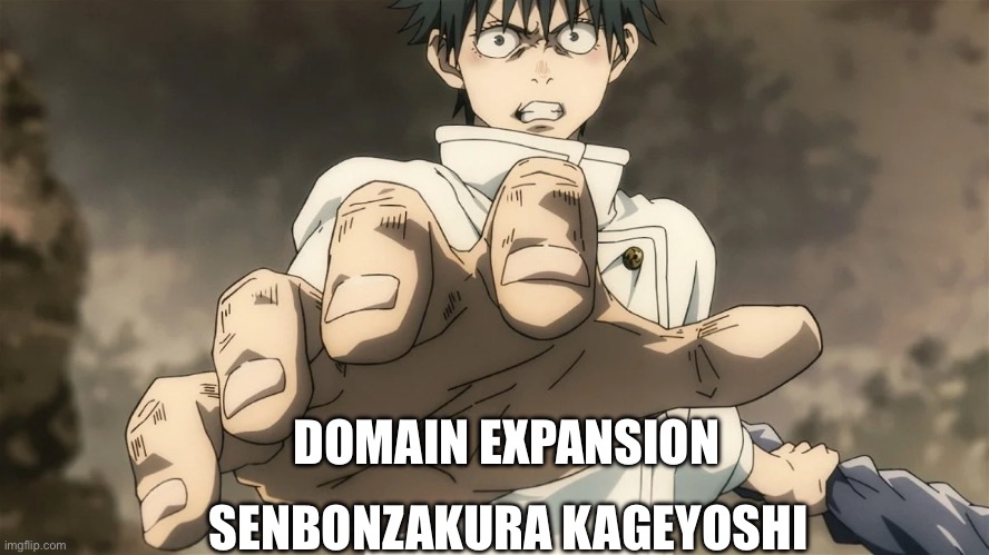 Yuta | DOMAIN EXPANSION; SENBONZAKURA KAGEYOSHI | image tagged in memes | made w/ Imgflip meme maker