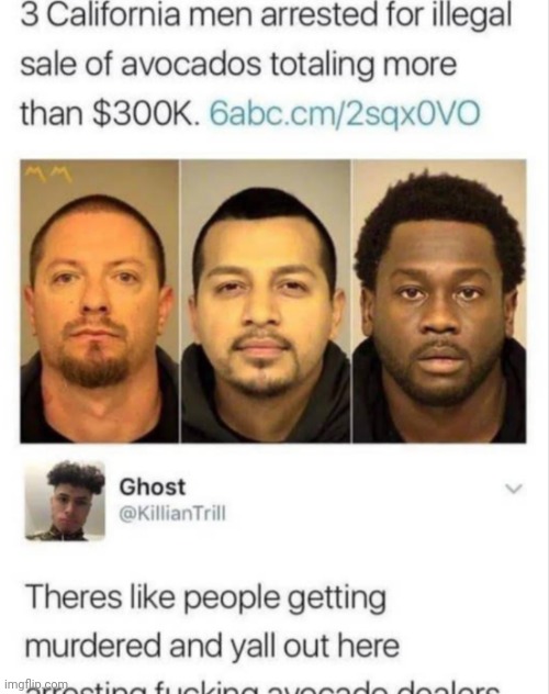 bottom says "arresting fucking avocado dealers" | made w/ Imgflip meme maker
