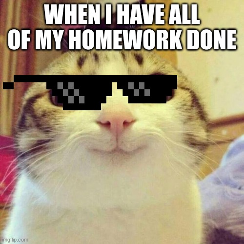 Smiling Cat Meme | WHEN I HAVE ALL OF MY HOMEWORK DONE | image tagged in memes,smiling cat | made w/ Imgflip meme maker