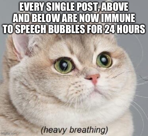 nya arigatto nya | EVERY SINGLE POST, ABOVE AND BELOW ARE NOW IMMUNE TO SPEECH BUBBLES FOR 24 HOURS | image tagged in memes,heavy breathing cat | made w/ Imgflip meme maker