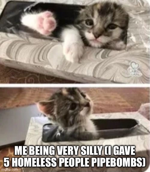 cat in tissues cute :) | ME BEING VERY SILLY (I GAVE 5 HOMELESS PEOPLE PIPEBOMBS) | image tagged in cat in tissues cute | made w/ Imgflip meme maker