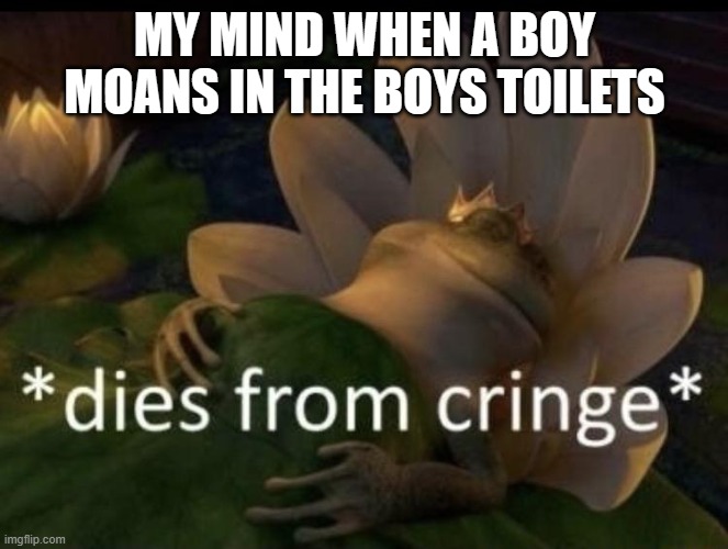 GUEL WHAT THE ACTUAL HELL | MY MIND WHEN A BOY MOANS IN THE BOYS TOILETS | image tagged in dies from cringe | made w/ Imgflip meme maker