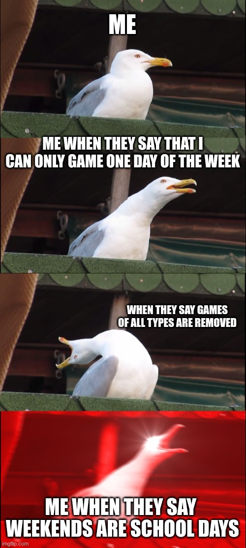 Inhaling Seagull Meme | ME; ME WHEN THEY SAY THAT I CAN ONLY GAME ONE DAY OF THE WEEK; WHEN THEY SAY GAMES OF ALL TYPES ARE REMOVED; ME WHEN THEY SAY  WEEKENDS ARE SCHOOL DAYS | image tagged in memes,inhaling seagull | made w/ Imgflip meme maker