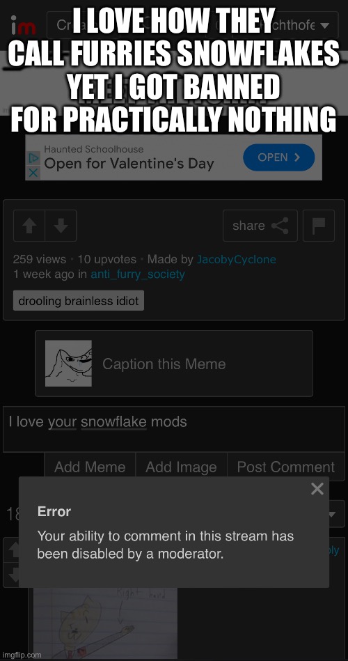 I LOVE HOW THEY CALL FURRIES SNOWFLAKES YET I GOT BANNED FOR PRACTICALLY NOTHING | made w/ Imgflip meme maker