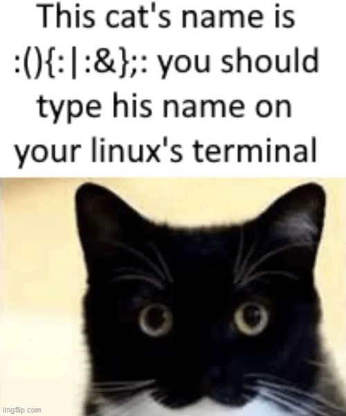 :3 | made w/ Imgflip meme maker