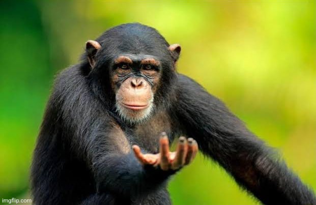 Return to monkey | image tagged in return to monkey | made w/ Imgflip meme maker