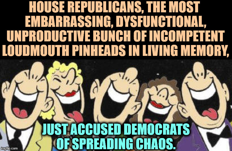 Projection anyone? | HOUSE REPUBLICANS, THE MOST 
EMBARRASSING, DYSFUNCTIONAL, UNPRODUCTIVE BUNCH OF INCOMPETENT
LOUDMOUTH PINHEADS IN LIVING MEMORY, JUST ACCUSED DEMOCRATS OF SPREADING CHAOS. | image tagged in republicans,embarrassing,dysfunctional,incompetence,pinhead,projection | made w/ Imgflip meme maker