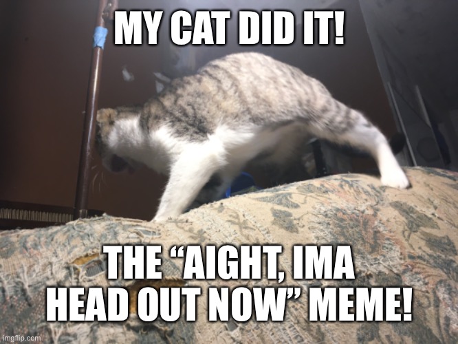 Aeaeae | MY CAT DID IT! THE “AIGHT, IMA HEAD OUT NOW” MEME! | image tagged in cats,aight ima head out,funny memes | made w/ Imgflip meme maker
