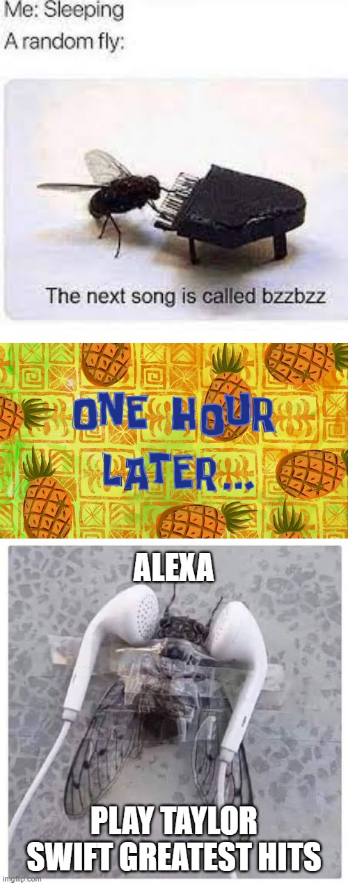 ALEXA; PLAY TAYLOR SWIFT GREATEST HITS | image tagged in one hour later | made w/ Imgflip meme maker