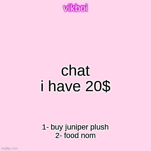 vikboi temp simple | chat i have 20$; 1- buy juniper plush
2- food nom | image tagged in vikboi temp modern | made w/ Imgflip meme maker