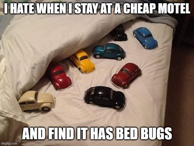 Bed Bugs | I HATE WHEN I STAY AT A CHEAP MOTEL; AND FIND IT HAS BED BUGS | image tagged in bed bugs,volkswagen | made w/ Imgflip meme maker