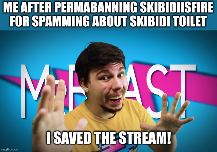 Fake MrBeast | ME AFTER PERMABANNING SKIBIDIISFIRE FOR SPAMMING ABOUT SKIBIDI TOILET; I SAVED THE STREAM! | image tagged in fake mrbeast | made w/ Imgflip meme maker