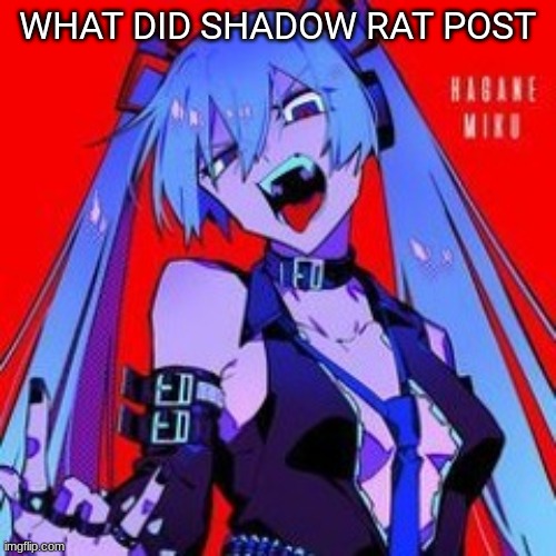METALOID_THIRTEEN | WHAT DID SHADOW RAT POST | image tagged in metaloid_thirteen | made w/ Imgflip meme maker
