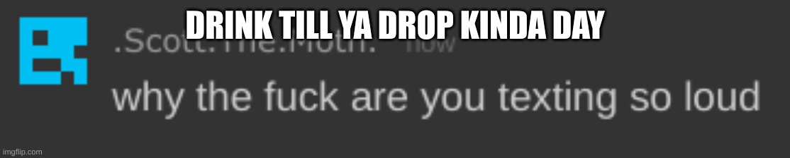 why the fuck are you texting so loud | DRINK TILL YA DROP KINDA DAY | image tagged in stm why the fuck are you texting so loud | made w/ Imgflip meme maker