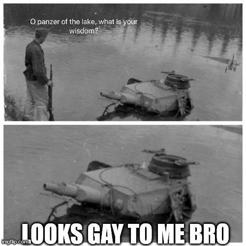 panzer of the lake template | LOOKS GAY TO ME BRO | image tagged in panzer of the lake template | made w/ Imgflip meme maker