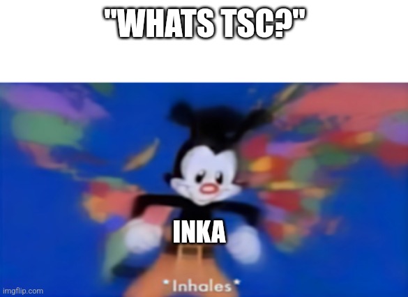 Frfr | "WHATS TSC?"; INKA | image tagged in yakko inhale | made w/ Imgflip meme maker