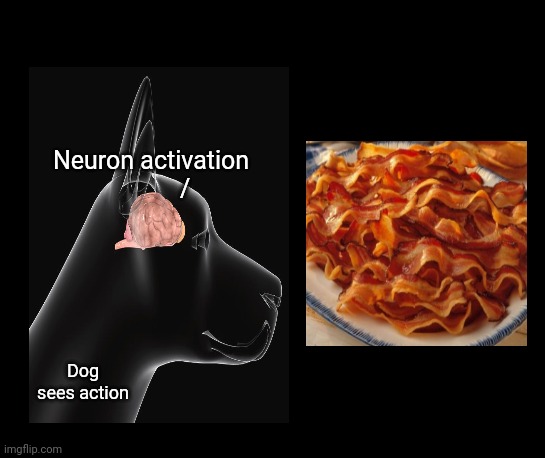 Dog and bacon | Neuron activation
           /; Dog sees action | image tagged in black template,dogs,dog,bacon,memes,neuron activation | made w/ Imgflip meme maker