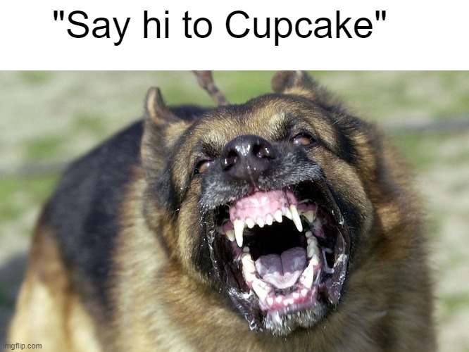 Dogs named cupcake: | "Say hi to Cupcake" | image tagged in cupake,dog | made w/ Imgflip meme maker